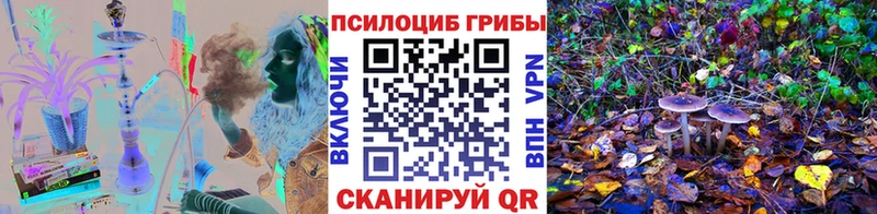 OMG Петрозаводск Галлюциногенные грибы мухоморы
