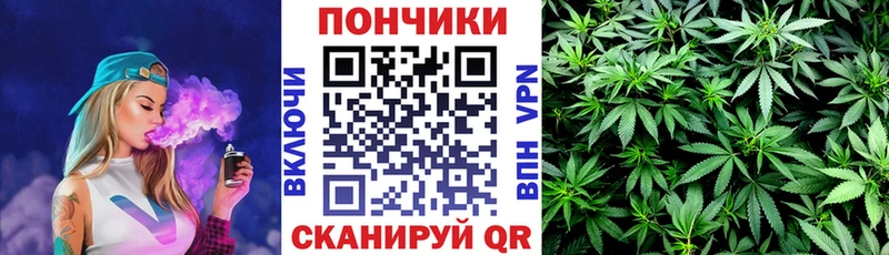 Конопля планчик Петрозаводск